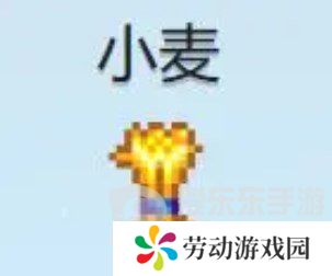 星露谷物语什么酒最赚钱 星露谷物语酒类价格排行